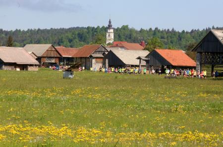 CERKNIŠKI POLMARATON 11 FOTO LJUBO VUKELIČ